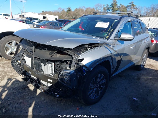 KM8JBCA16PU086291 Hyundai Tucson Hybrid Blue