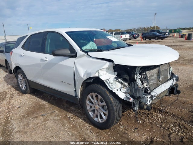 Chevrolet EQUINOX LS 2019 3GNAXHEVXKS678213 Image 1