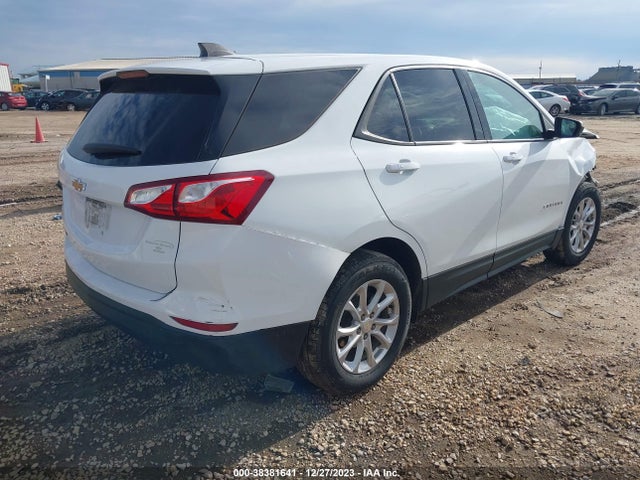Chevrolet EQUINOX LS 2019 3GNAXHEVXKS678213 Image 4