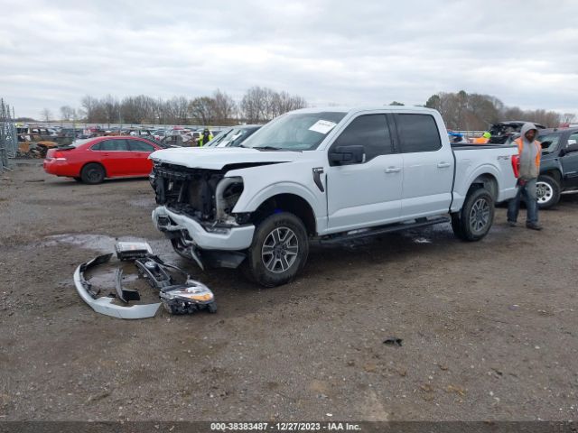 1FTFW1E52MKD81718 Ford F-150 Xlt