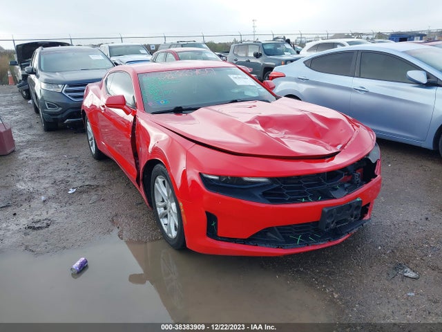 2019 1G1FB1RXXK0136562 main image