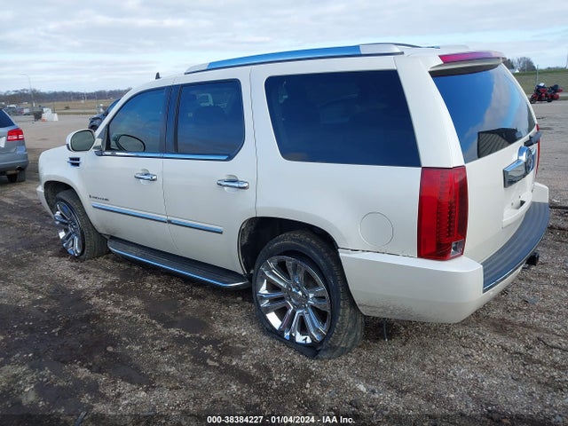 2007 CADILLAC ESCALADE STANDARD VIN: 1GYFK63877R403353