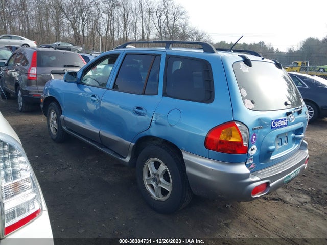 2004 HYUNDAI SANTA FE GLS VIN: KM8SC13D04U745197