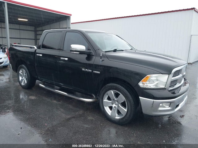 2010 DODGE RAM 1500 SLT/SPORT/TRX VIN: 1D7RB1CT7AS122038