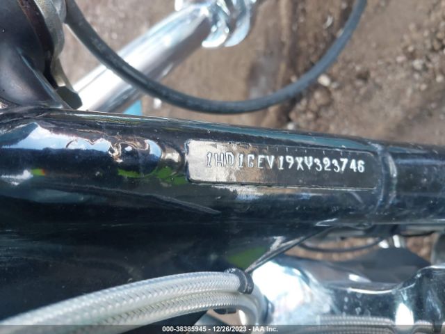 1999 HARLEY-DAVIDSON FXDWG 1HD1GEV19XY323746 Photo 9