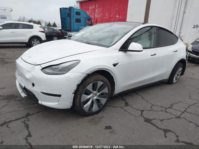 2023 TESLA MODEL Y 7SAYGDEE9PF631533 Photo 1
