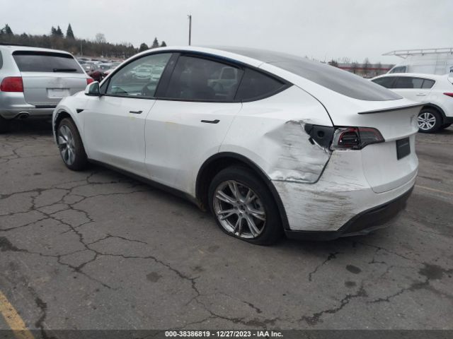 2023 TESLA MODEL Y 7SAYGDEE9PF631533 Photo 2