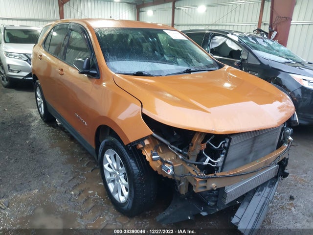 Chevrolet EQUINOX LS 2019 2GNAXHEV0K6149447 Image 1