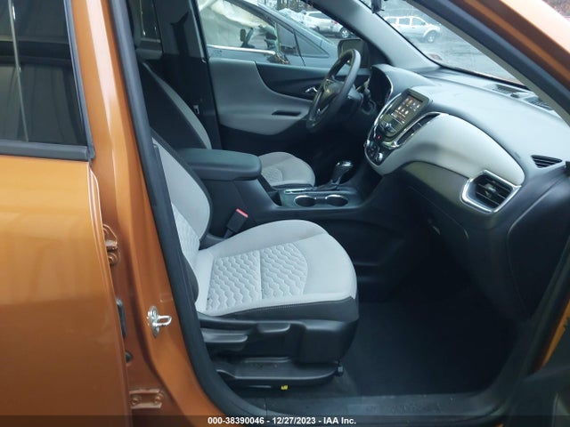 Chevrolet EQUINOX LS 2019 2GNAXHEV0K6149447 Image 5