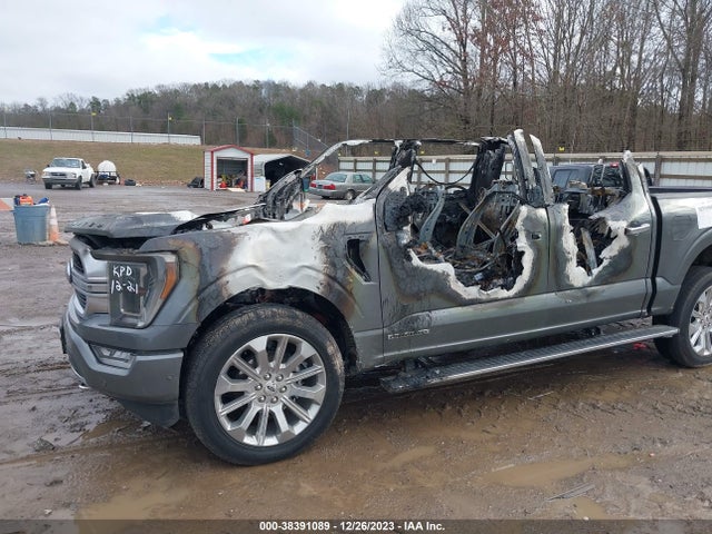 Ford F-150 Limited 2023 1FTFW1EDXPFA28826 Image 6