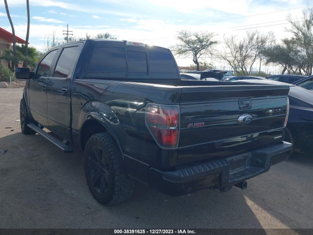 2013 FORD F-150 FX2 VIN: 1FTFW1CF1DFC95451