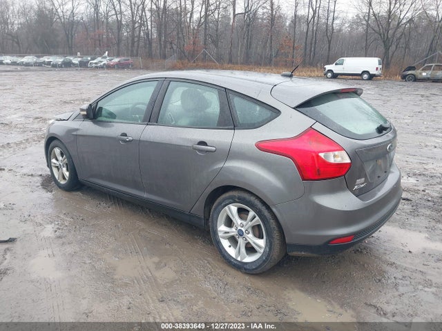 2014 FORD FOCUS SE VIN: 1FADP3K25EL386326
