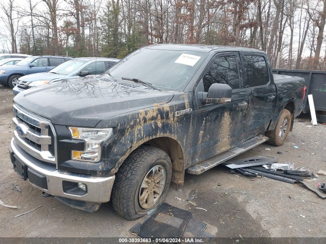 Ford F-150 Xlt 2015 1FTEW1EF2FFC48554 Image 2