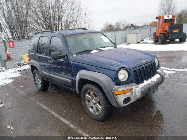 2002 JEEP LIBERTY SPORT VIN: 1J4GL48KX2W229640