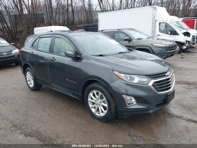 Chevrolet EQUINOX LS 2018 3GNAXHEV6JL110033 Image 1