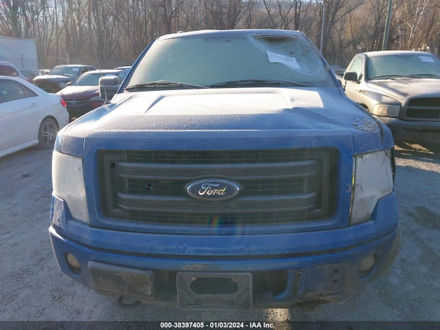 2013 FORD F-150 STX VIN: 1FTFX1EF1DKD40566