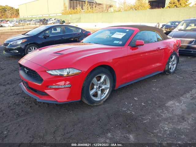 Ford Mustang Ecoboost 2019 1FATP8UH2K5158942 Image 2