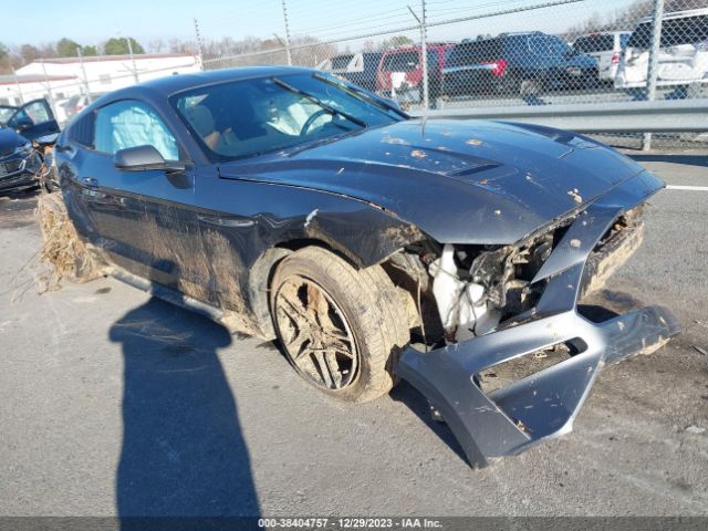 Ford Mustang Ecoboost Fastback 2023 1FA6P8THXP5107842 Image 1