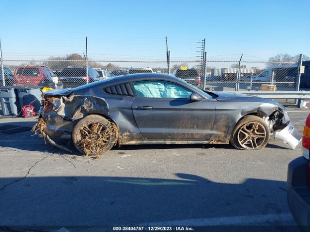 Ford Mustang Ecoboost Fastback 2023 1FA6P8THXP5107842 Image 14