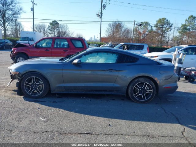 Ford Mustang Ecoboost Fastback 2023 1FA6P8THXP5107842 Image 15