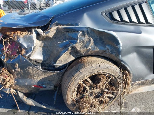 Ford Mustang Ecoboost Fastback 2023 1FA6P8THXP5107842 Image 12