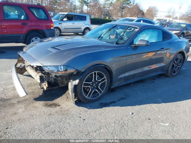 Ford Mustang Ecoboost Fastback 2023 1FA6P8THXP5107842 Image 2