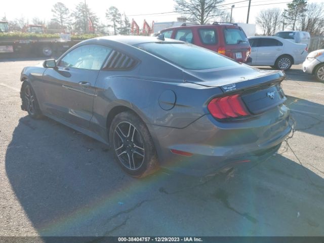 Ford Mustang Ecoboost Fastback 2023 1FA6P8THXP5107842 Image 3