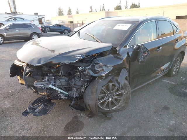 Продаж на аукціоні авто 2018 Lexus Nx 300, vin: JTJYARBZ4J2112173, номер лоту: 38406371