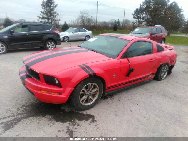 2005 FORD MUSTANG V6 DELUXE/V6 PREMIUM VIN: 1ZVFT80N555142671