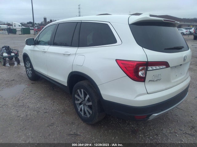 2019 HONDA PILOT EX-L VIN: 5FNYF6H51KB047336