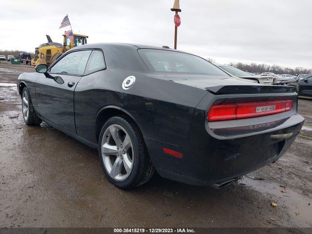Dodge Challenger Sxt 2014 2C3CDYAG2EH101463 Image 3