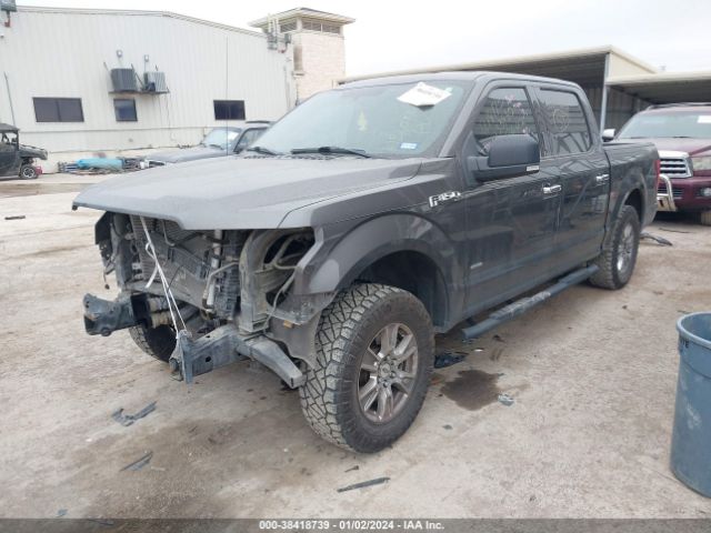 1FTEW1CP4FKD26674 Ford F-150 Xlt