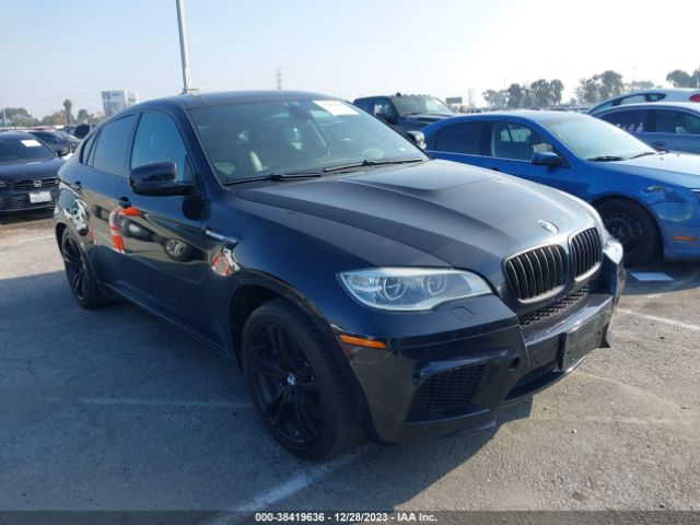 2013 BMW X6 M 5YMGZ0C50D0C40158