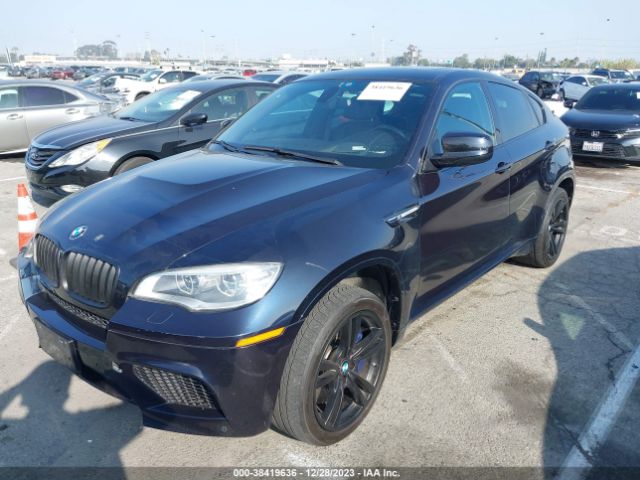 2013 BMW X6 M 5YMGZ0C50D0C40158 Photo 1