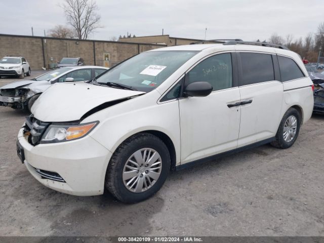5FNRL5H20GB003204 Honda ODYSSEY LX
