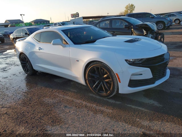 2019 1G1FH1R70K0105996 zdjęcie główne