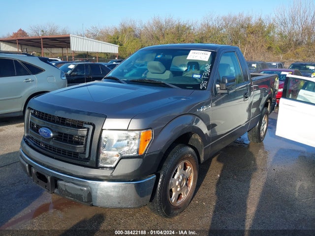 2013 FORD F-150 XL VIN: 1FTMF1CM6DKF36062