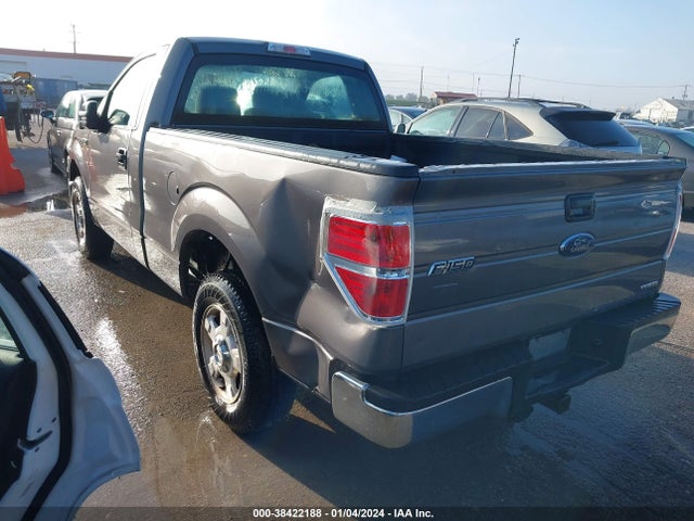 2013 FORD F-150 XL VIN: 1FTMF1CM6DKF36062