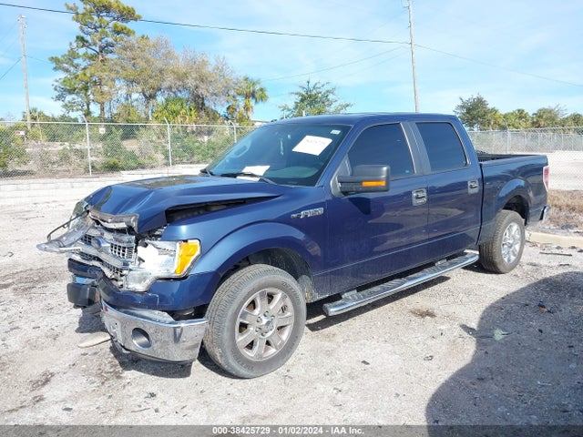 2013 FORD F-150 XLT VIN: 1FTEW1CM1DFD64200