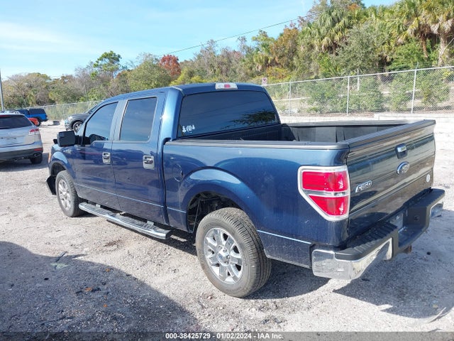 2013 FORD F-150 XLT VIN: 1FTEW1CM1DFD64200
