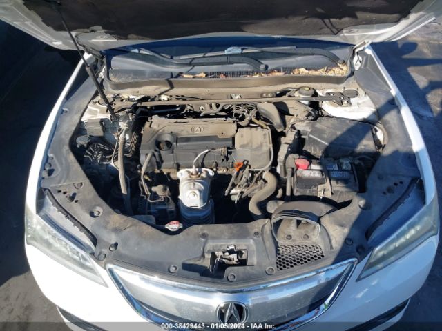 19UUB1F31FA011970 Acura TLX
