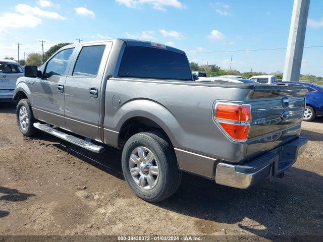2010 FORD F-150 XL/XLT VIN: 1FTEW1C80AFB38986