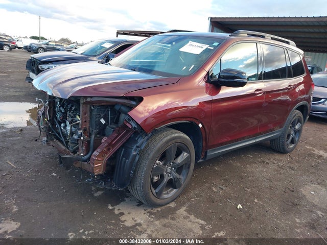Honda Passport Elite 2019 5FNYF8H0XKB008079 Image 2