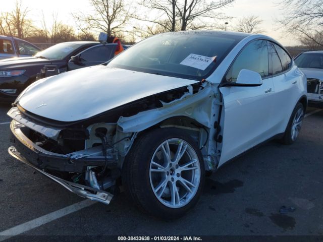 2023 TESLA MODEL Y 7SAYGDEE1PA042490 Photo 1