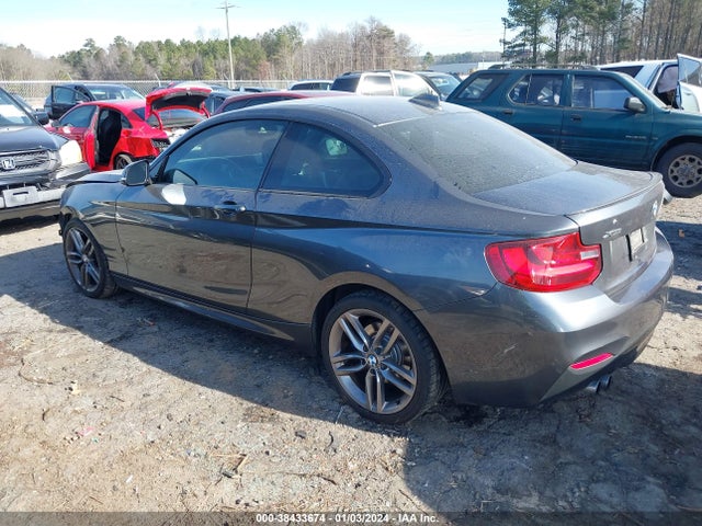 BMW 228i Xdrive 2016 WBA1G9C52GV599098 Image 3