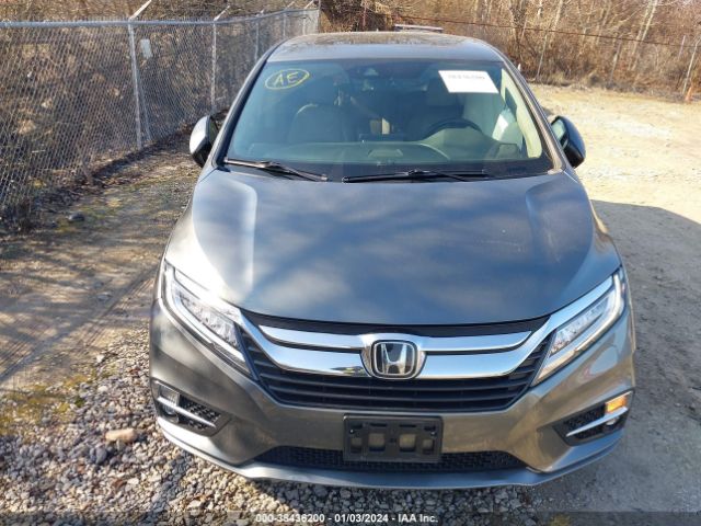 5FNRL6H91JB006607 Honda Odyssey Elite