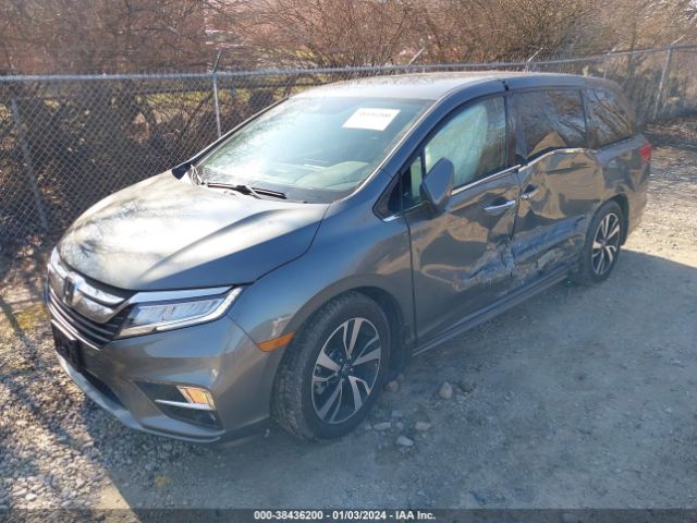 5FNRL6H91JB006607 Honda Odyssey Elite