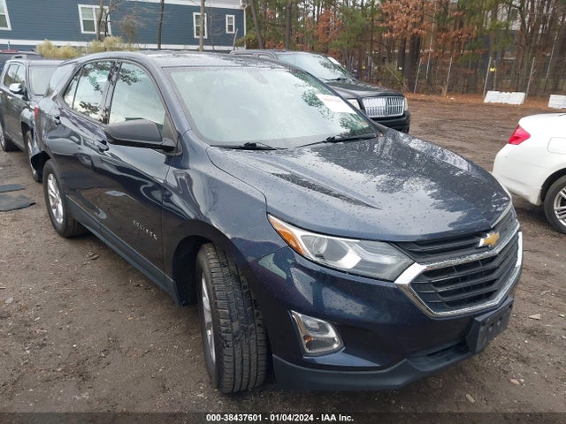 2019 CHEVROLET EQUINOX LS VIN: 3GNAXHEVXKS507851