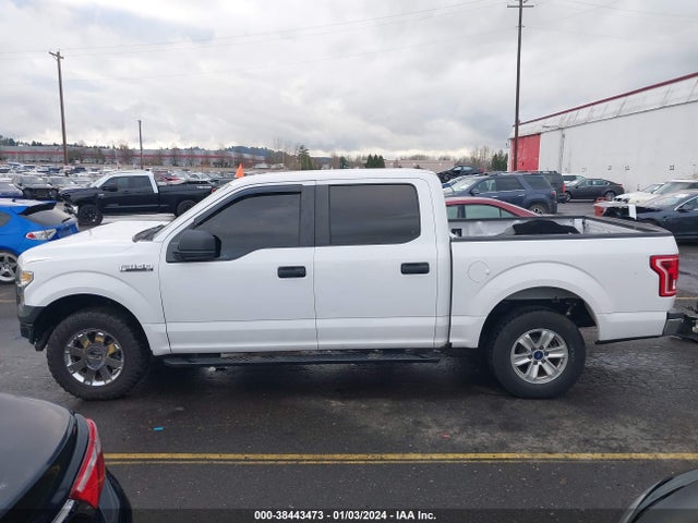 2015 FORD F-150 XL VIN: 1FTEW1CF4FKE06211