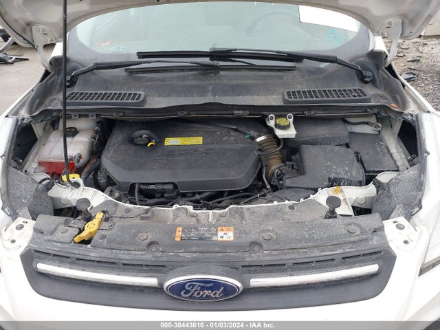 Ford ESCAPE SE 2014 1FMCU0GX5EUC07371 Image 10